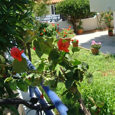 استوديوهات وشقق فيليبوس 3* Kardamena (Kos)
