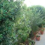 Philippos & 3*