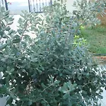 Philippos & 아파트호텔