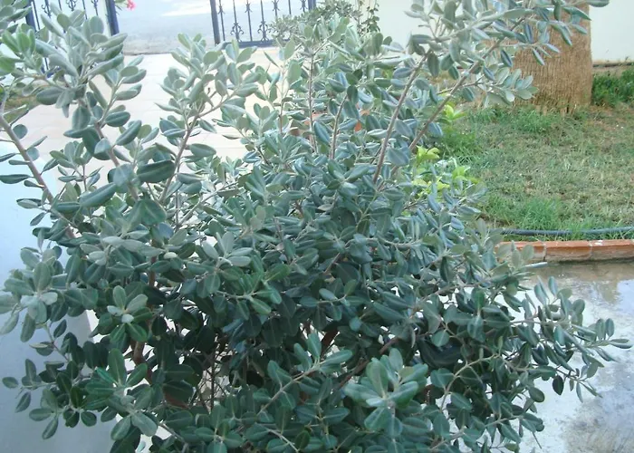 Philippos & Lejlighedshotel