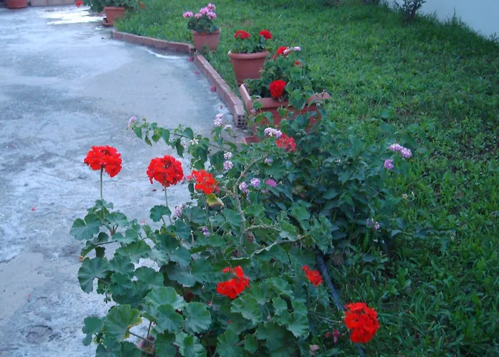 Philippos & Апарт-отель 3*